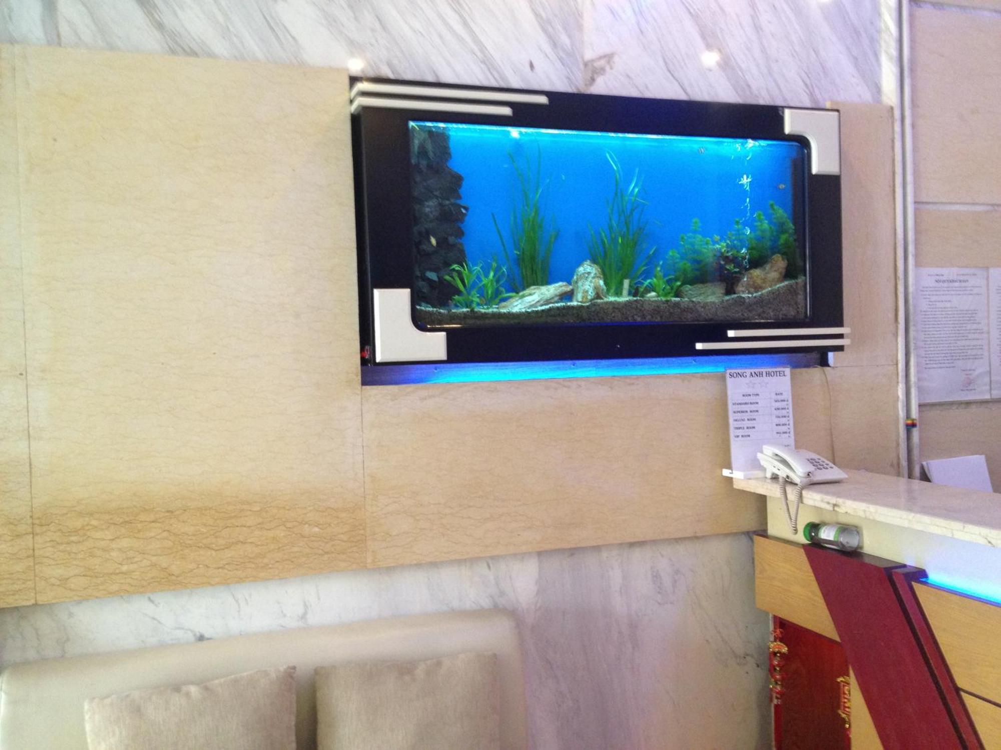 Song Anh Hotel Ho Şi Min Dış mekan fotoğraf